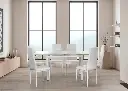 Mesa De Cristal Completa Extensible Con 6 Sillas Modelo DT58